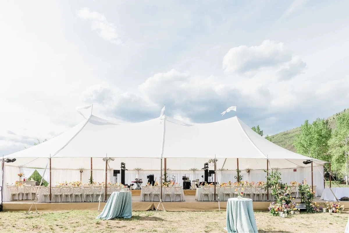 zelt 6x10 Partyzelt Basic 6x10m PVC 700, Weiß book add on Size (ft):50x50 20' Wide Rope and